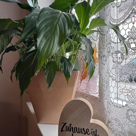 Zwischen Bach Und Luther Mit Garten