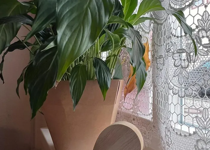 Zwischen Bach Und Luther Mit Sauna